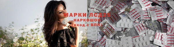 тгк Вяземский