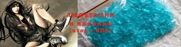 шишки Горняк
