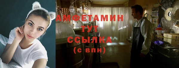 тгк Вяземский