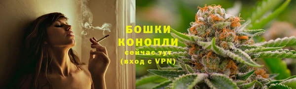 шишки Горняк