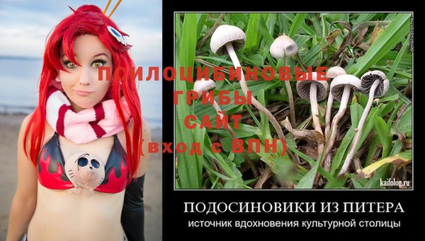 альфа пвп Горнозаводск