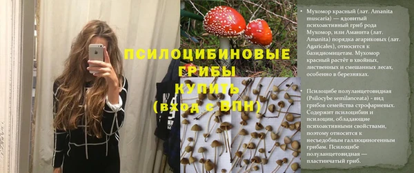 альфа пвп Горнозаводск
