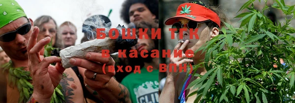 тгк Вяземский