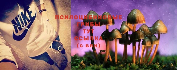 альфа пвп Горнозаводск