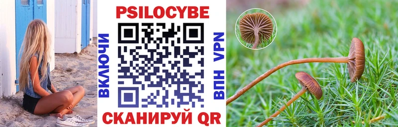Купить где  Серов  Галлюциногенные грибы Psilocybine cubensis 